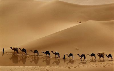 من إلهامات الهجرة 