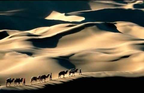الهجرة.. والتخطيط الإستراتيجي 