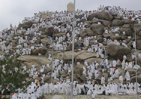 أخطاء الحجاج 